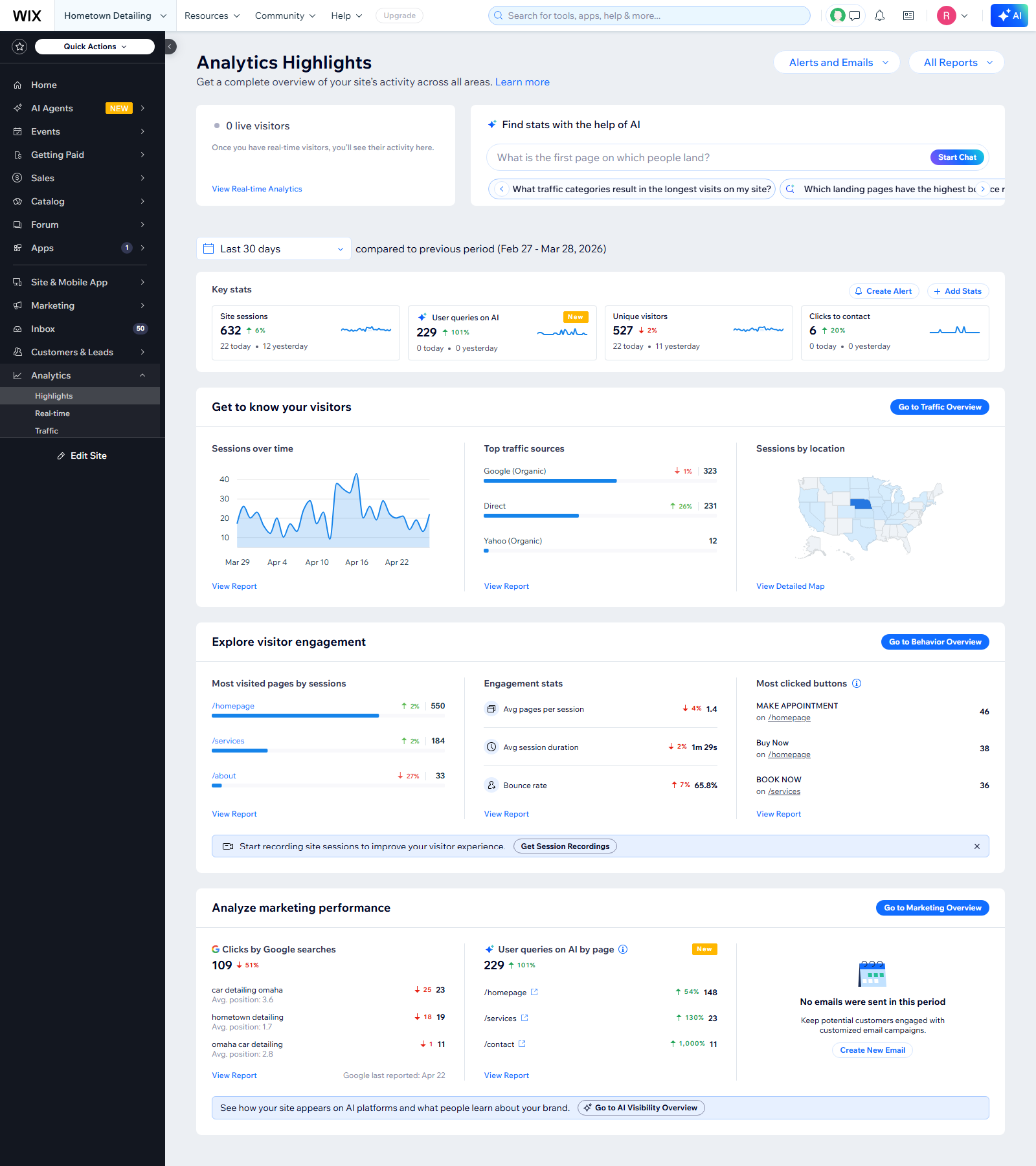 Wix Analytics — 229 AI search queries surfaced Hometown's site in the last 30 days